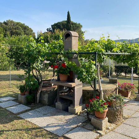 Villetta Di Rosa Procchio  Eksteriør bilde